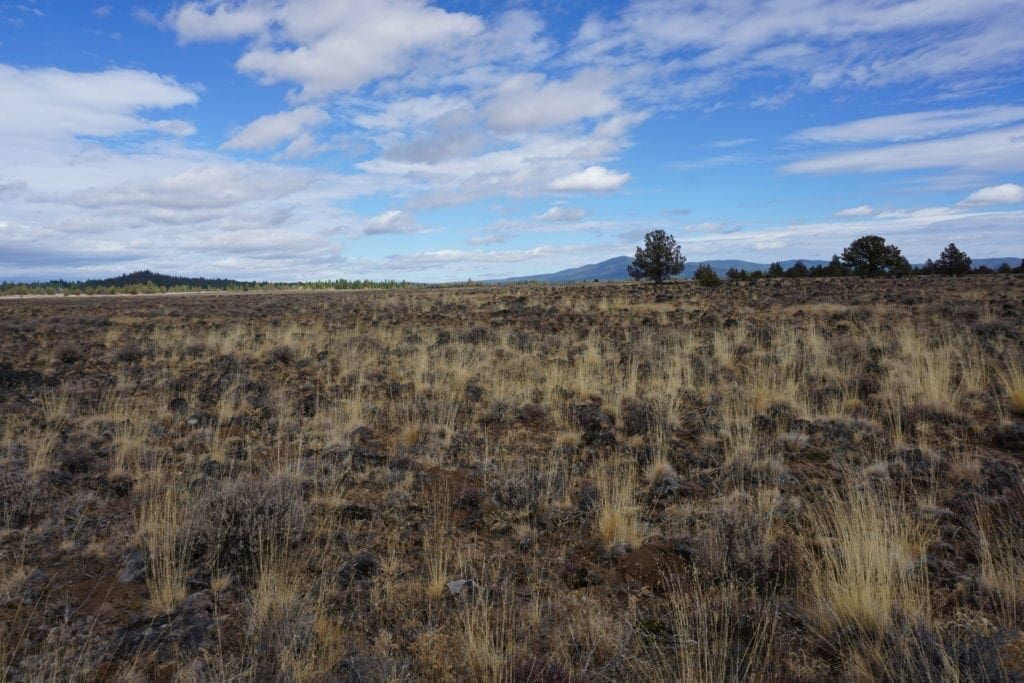 Large view of 36 Acres Central Oregon Near California TWO Parcels Separated by County Road Photo 45