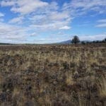 Thumbnail of 36 Acres Central Oregon Near California TWO Parcels Separated by County Road Photo 45