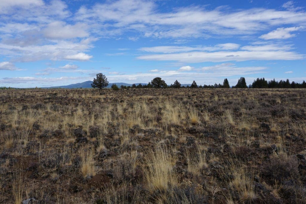 Large view of 36 Acres Central Oregon Near California TWO Parcels Separated by County Road Photo 46