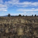 Thumbnail of 36 Acres Central Oregon Near California TWO Parcels Separated by County Road Photo 46