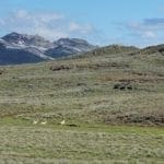 Thumbnail of Beautiful 1.37 Acre Lot In Wild Horse Estates, Nevada! Adjoining Parcel Available Photo 7