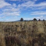 Thumbnail of 36 Acres Central Oregon Near California TWO Parcels Separated by County Road Photo 47