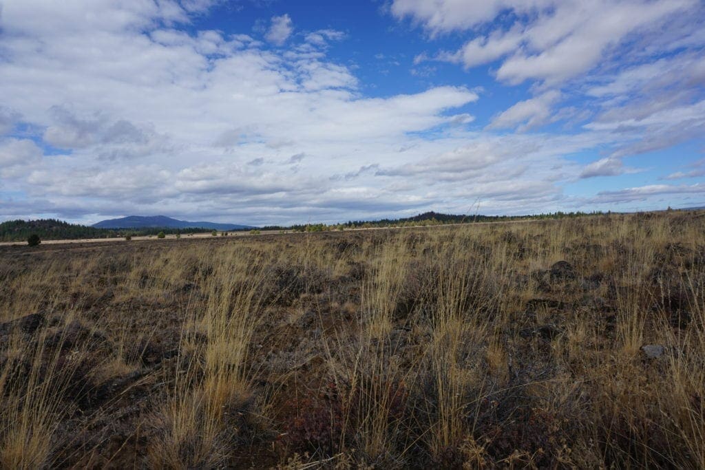 Large view of 36 Acres Central Oregon Near California TWO Parcels Separated by County Road Photo 48