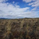 Thumbnail of 36 Acres Central Oregon Near California TWO Parcels Separated by County Road Photo 48