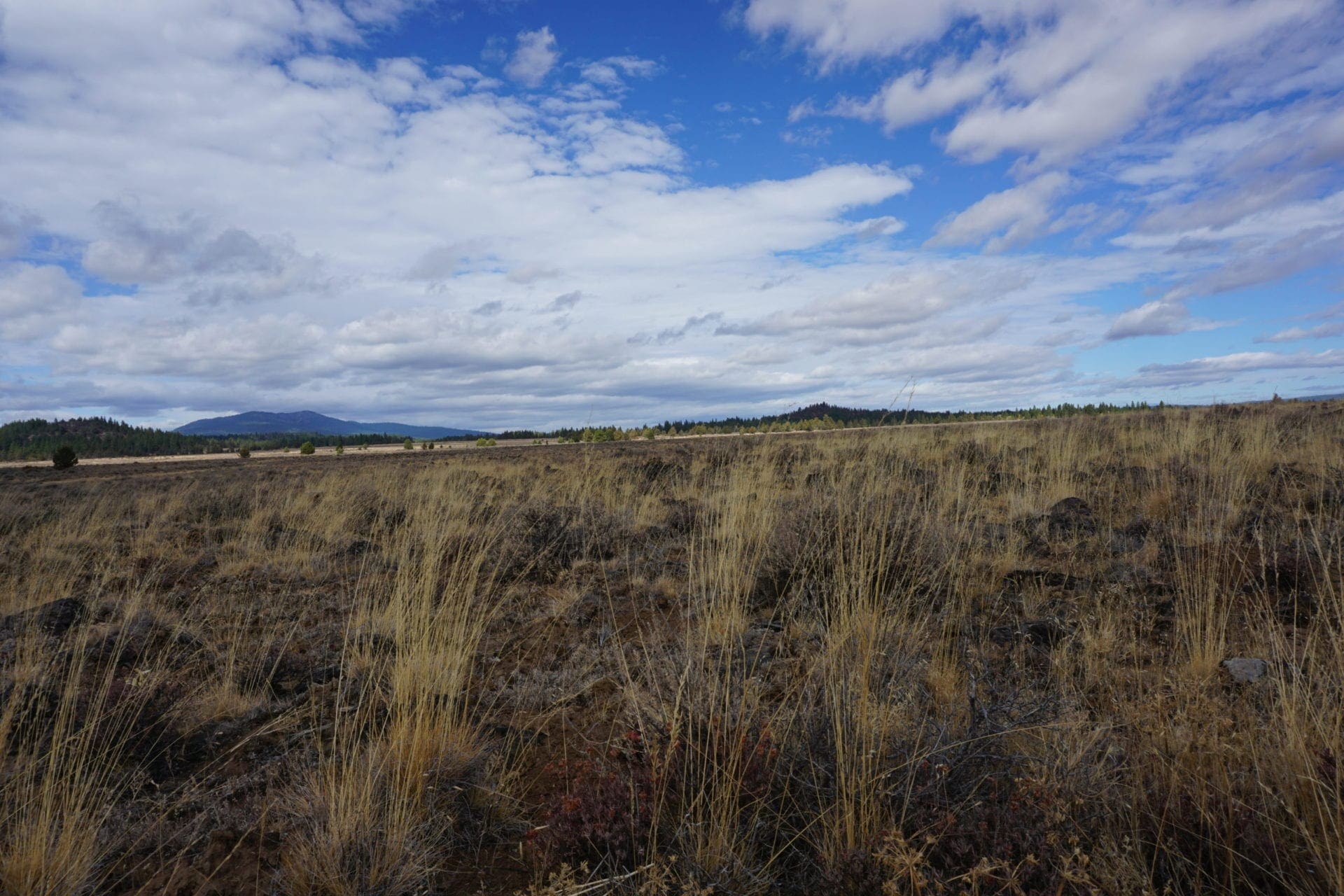 36 Acres Central Oregon Near California TWO Parcels Separated by County Road photo 48