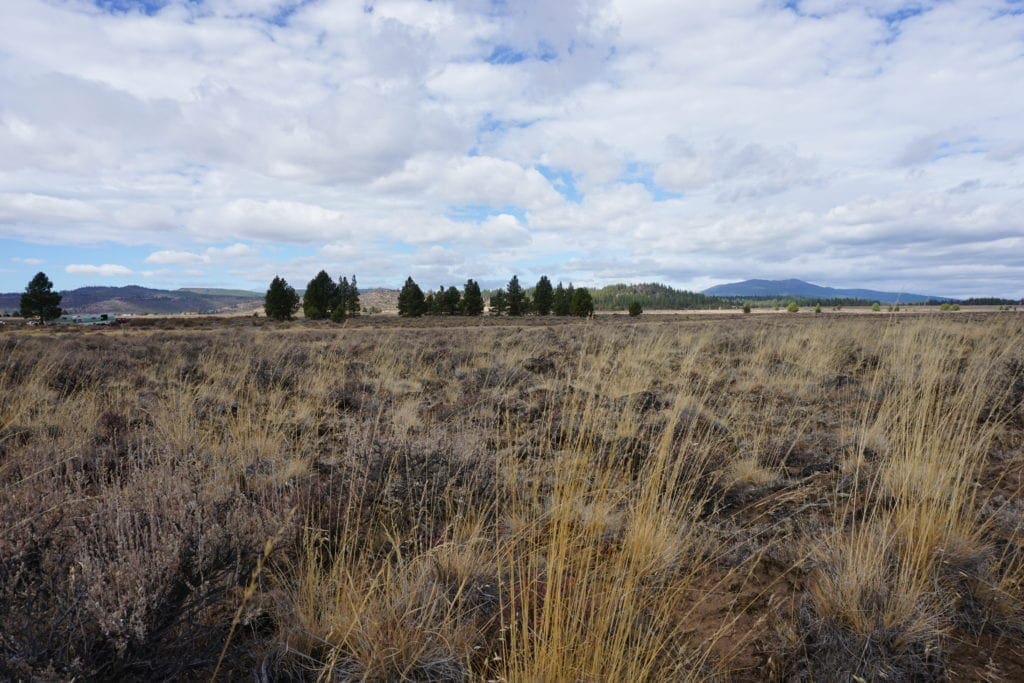 Large view of 36 Acres Central Oregon Near California TWO Parcels Separated by County Road Photo 49