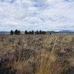 Thumbnail of 36 Acres Central Oregon Near California TWO Parcels Separated by County Road Photo 49