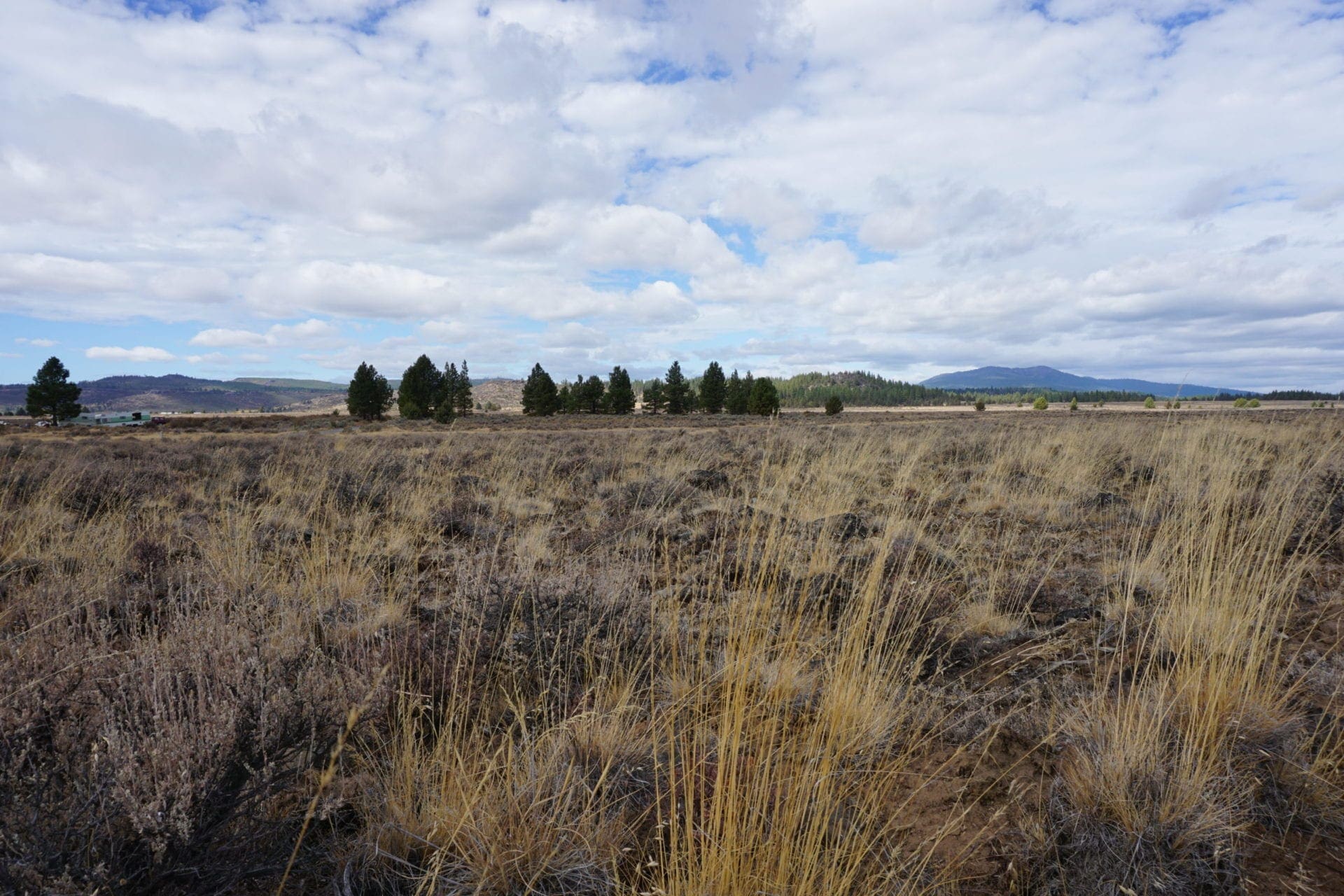 36 Acres Central Oregon Near California TWO Parcels Separated by County Road photo 49