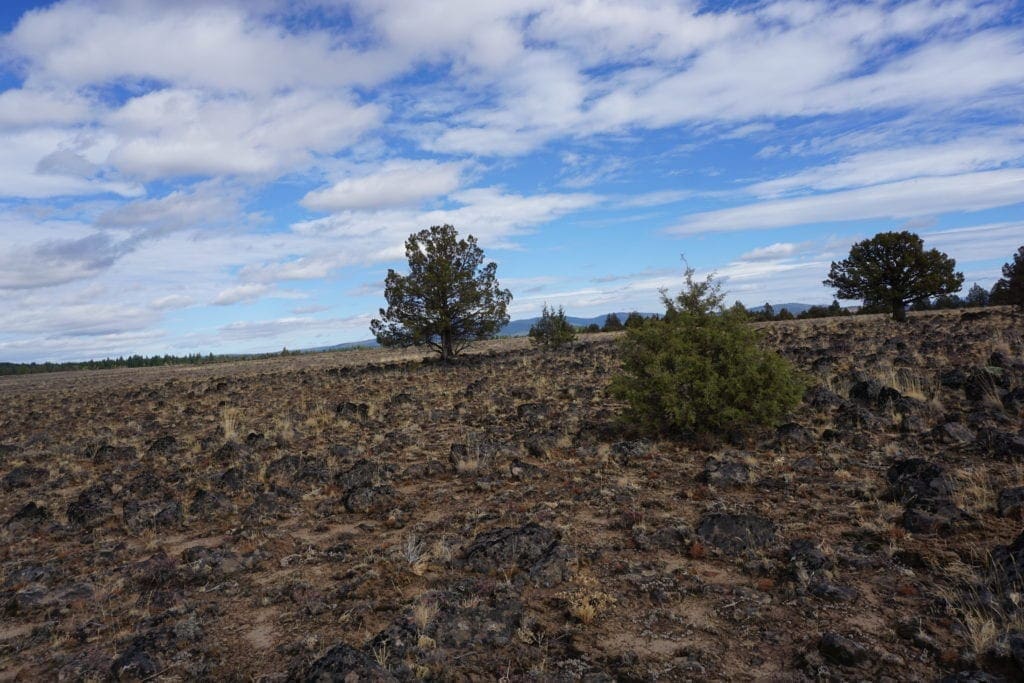Large view of 36 Acres Central Oregon Near California TWO Parcels Separated by County Road Photo 50
