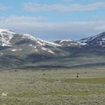 Thumbnail of Beautiful 1.37 Acre Lot In Wild Horse Estates, Nevada! Adjoining Parcel Available Photo 10