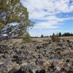 Thumbnail of 36 Acres Central Oregon Near California TWO Parcels Separated by County Road Photo 52