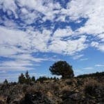 Thumbnail of 36 Acres Central Oregon Near California TWO Parcels Separated by County Road Photo 54