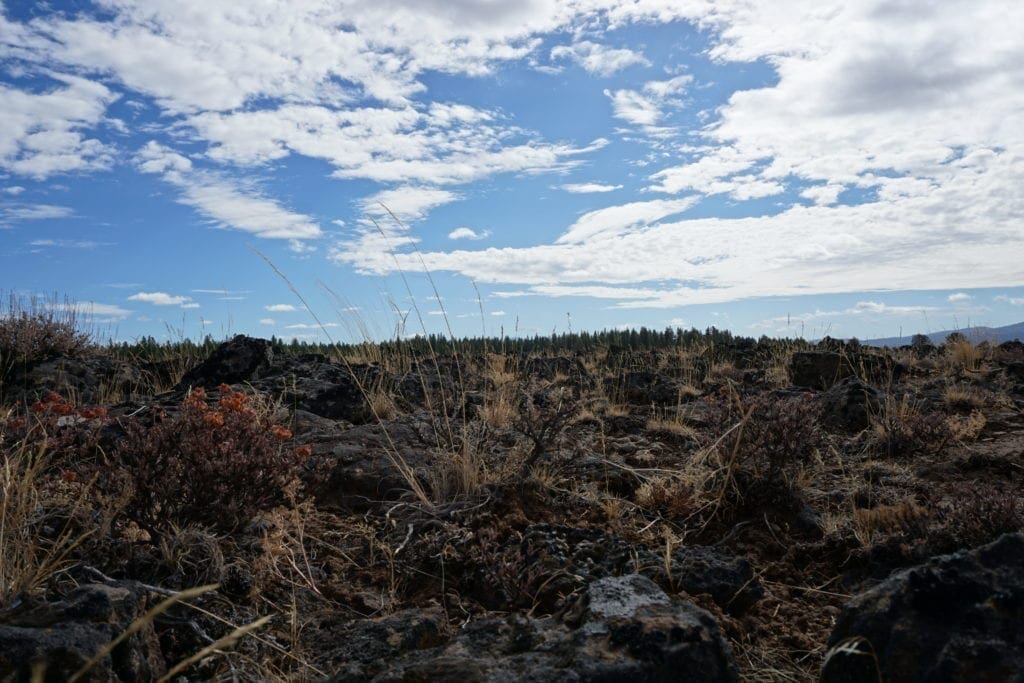Large view of 36 Acres Central Oregon Near California TWO Parcels Separated by County Road Photo 57
