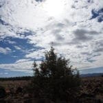 Thumbnail of 36 Acres Central Oregon Near California TWO Parcels Separated by County Road Photo 59
