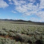 Thumbnail of Beautiful 1.37 Acre Lot In Wild Horse Estates, Nevada! Adjoining Parcel Available Photo 6