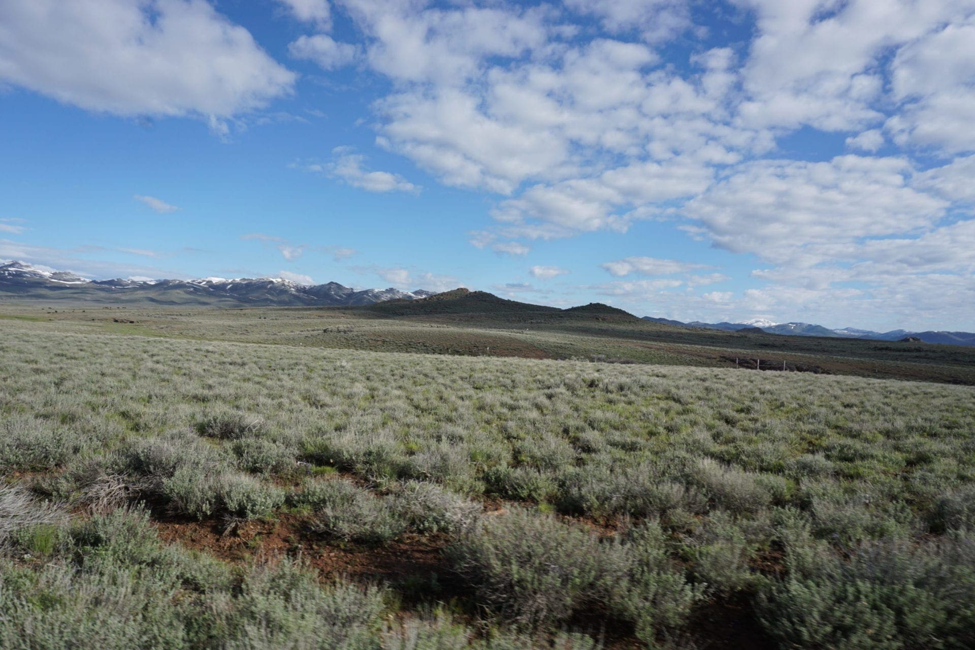 Beautiful 1.37 Acre Lot In Wild Horse Estates, Nevada! Adjoining Parcel Available photo 6