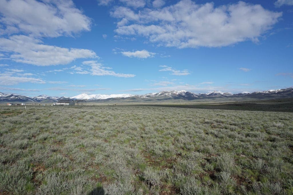 Large view of Secluded 1.34 Acre Lot In Wild Horse Estates Near Lake and Idaho Border Photo 4