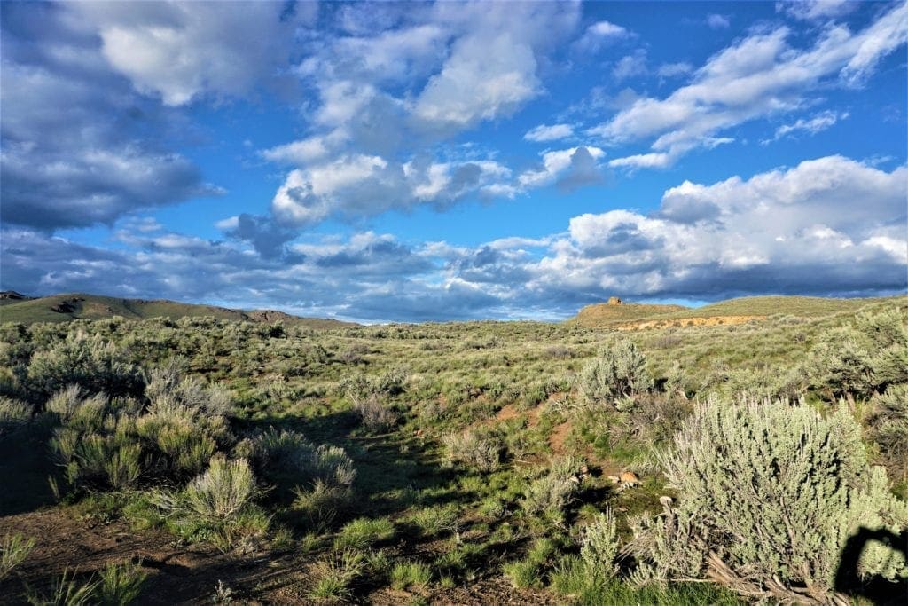 Large view of 44.180 Large Nevada Mountain Land with Seasonal Stream OIL, GAS & MINERAL RIGHTS Included Photo 5