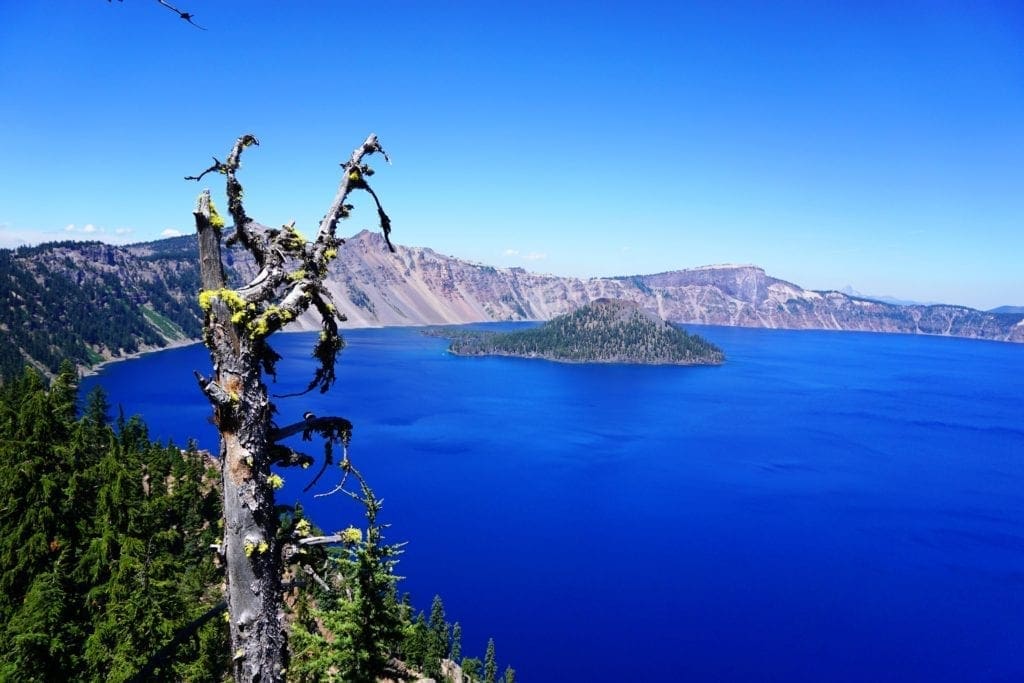 Large view of Gorgeous 10 Acre Ranchette Near Crater Lake with Old Growth Timber Photo 1