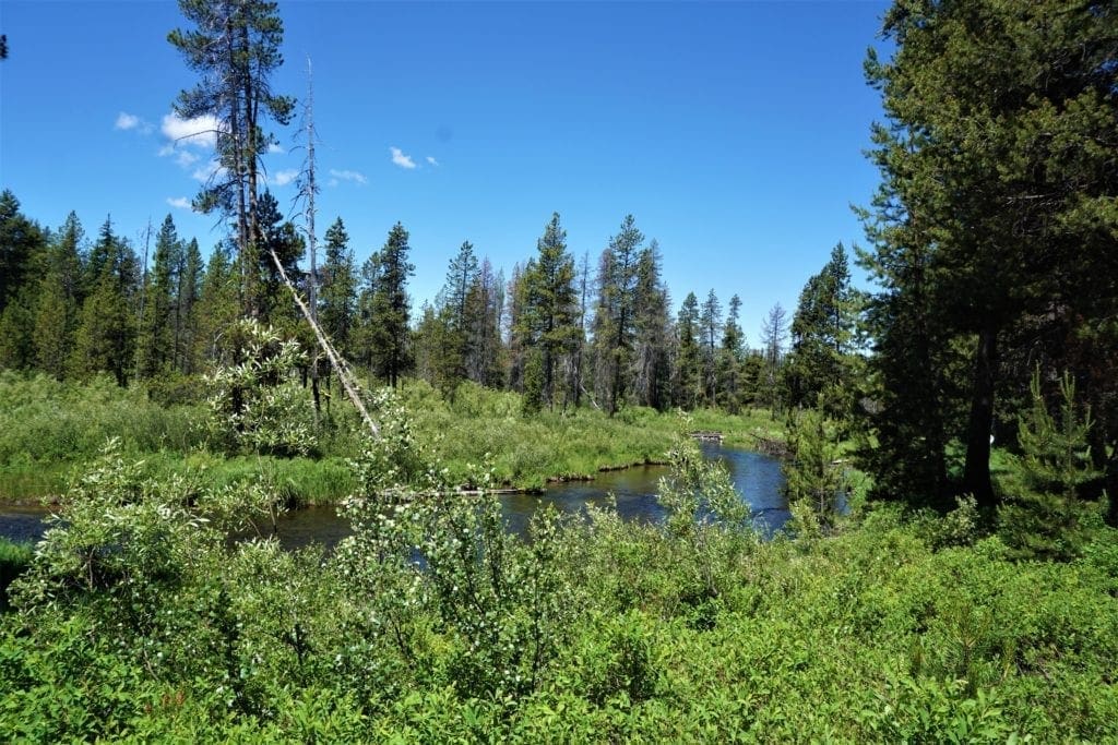 Large view of Blue Ribbon Fishing On This Exclusive 119 Acre Oregon Ranch in Central Oregon Photo 3