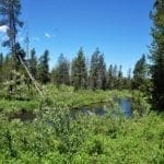 Thumbnail of Blue Ribbon Fishing On This Exclusive 119 Acre Oregon Ranch in Central Oregon Photo 3