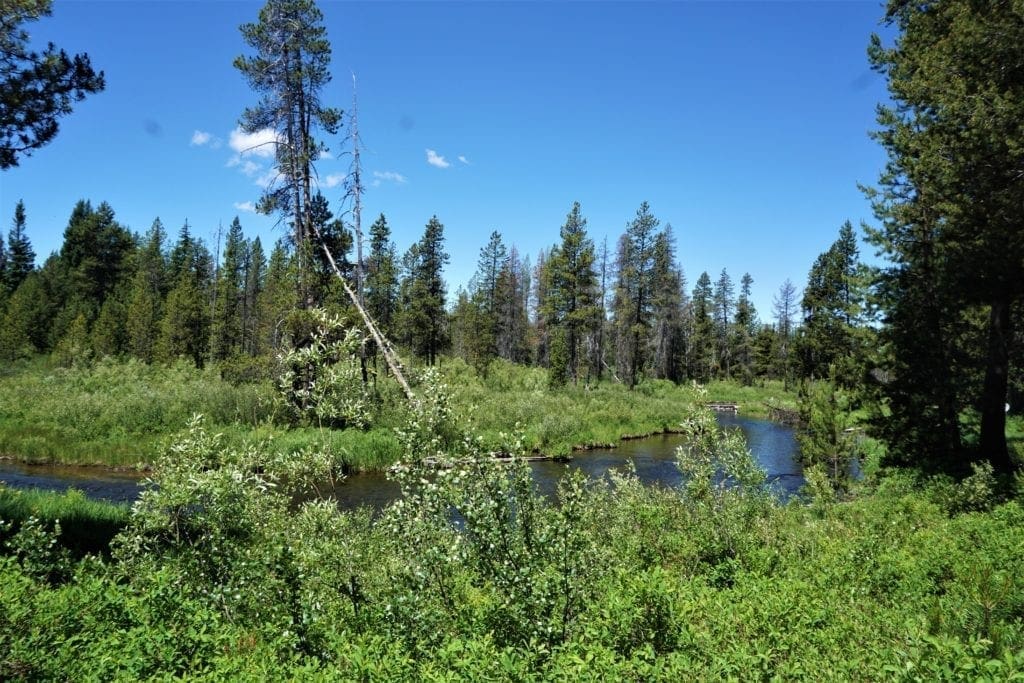 Large view of Blue Ribbon Fishing On This Exclusive 119 Acre Oregon Ranch in Central Oregon Photo 5