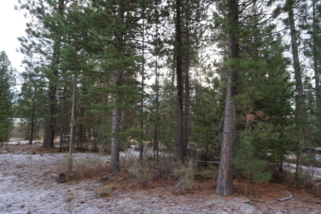Large view of 1.00 Ac In Crescent Oregon! Treed Lot W/ Power & 20 X 30 Metal Building! Near BEND Photo 20