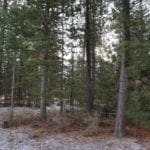 Thumbnail of 1.00 Ac In Crescent Oregon! Treed Lot W/ Power & 20 X 30 Metal Building! Near BEND Photo 20