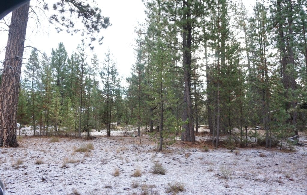 Large view of 1.00 Ac In Crescent Oregon! Treed Lot W/ Power & 20 X 30 Metal Building! Near BEND Photo 19