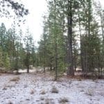 Thumbnail of 1.00 Ac In Crescent Oregon! Treed Lot W/ Power & 20 X 30 Metal Building! Near BEND Photo 19
