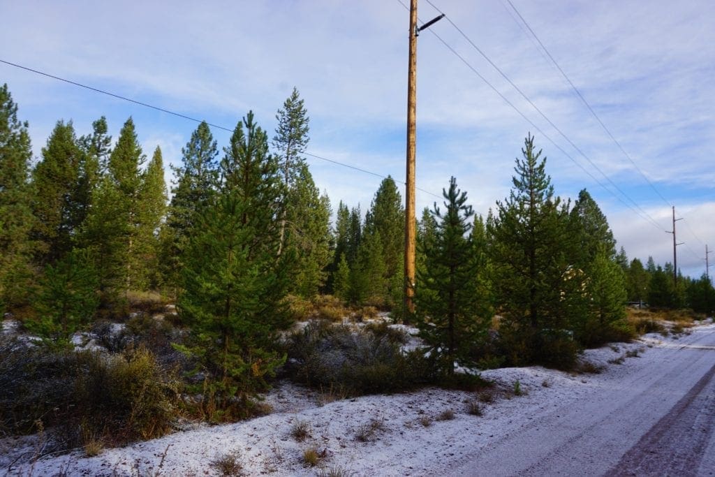 Large view of 1.00 Ac In Crescent Oregon! Treed Lot W/ Power & 20 X 30 Metal Building! Near BEND Photo 18