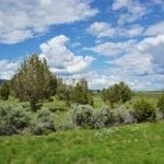 Thumbnail of Treed 10.00 Acre Lot with County Maintained Dove Creek Road Running Through it ~ Come Enjoy Box Elder County! Photo 4