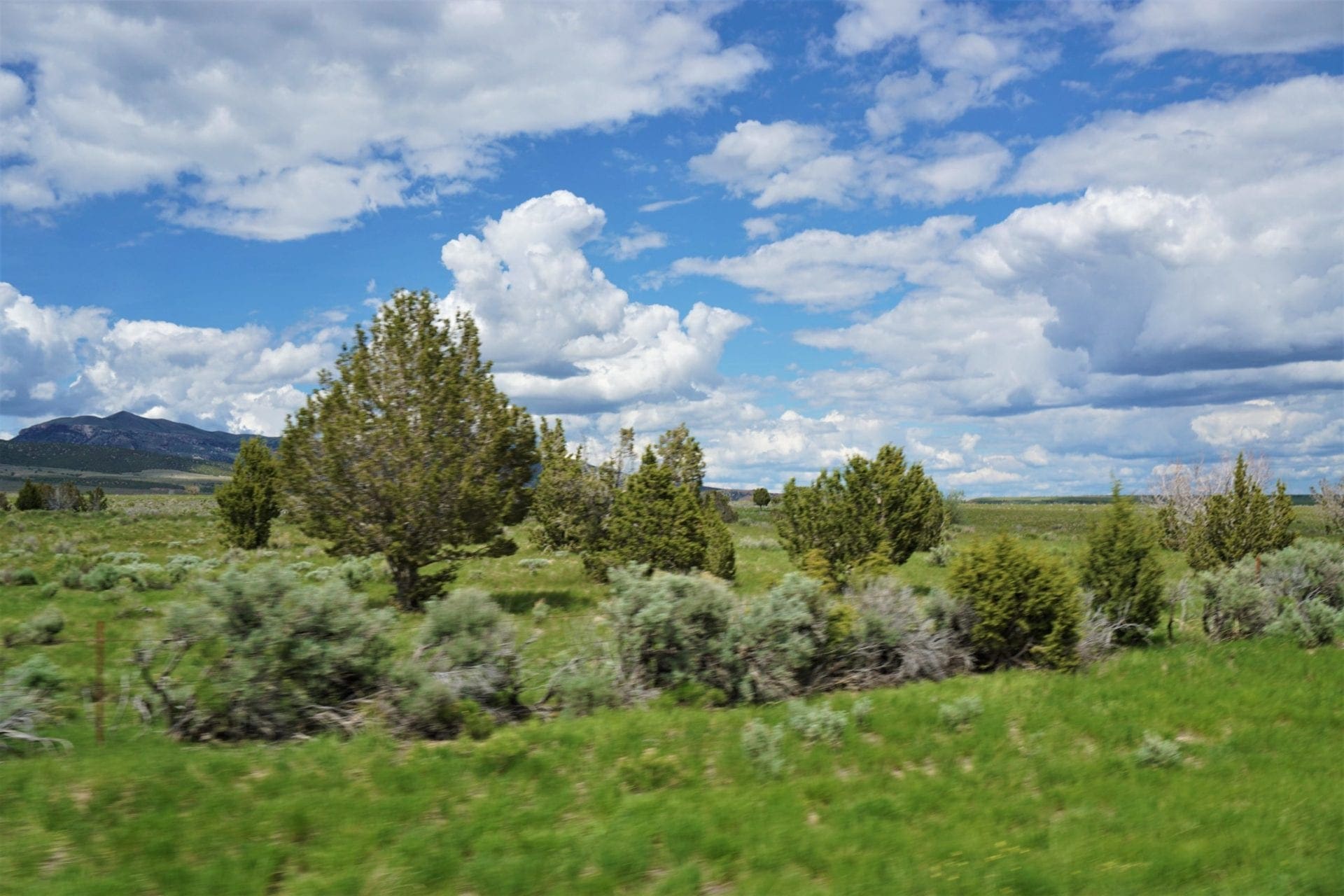 Treed 10.00 Acre Lot with County Maintained Dove Creek Road Running Through it ~ Come Enjoy Box Elder County! photo 4