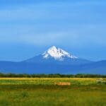 Thumbnail of 10.16 MAGICAL ACRES IN KLAMATH COUNTY OREGON – TIMBERED NEAR NATIONAL FOREST AND CALIFORNIA BORDER Photo 11