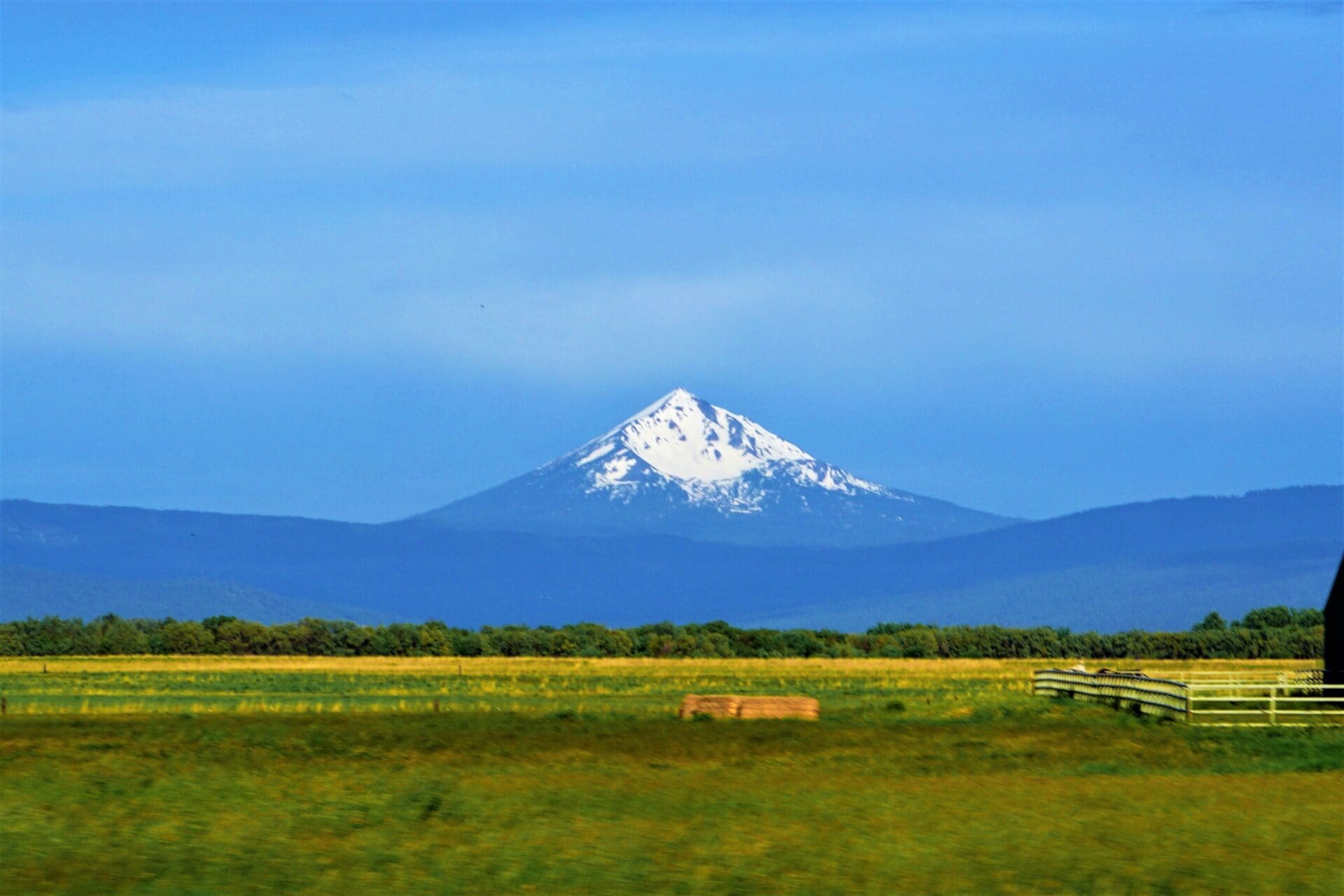 10.16 MAGICAL ACRES IN KLAMATH COUNTY OREGON – TIMBERED NEAR NATIONAL FOREST AND CALIFORNIA BORDER photo 11