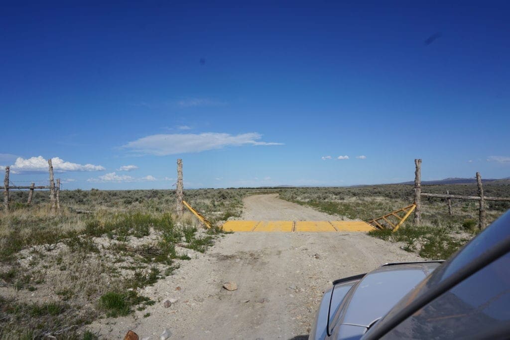 Large view of Treed 10.00 Acre Lot with County Maintained Dove Creek Road Running Through it ~ Come Enjoy Box Elder County! Photo 16