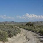 Thumbnail of Treed 10.00 Acre Lot with County Maintained Dove Creek Road Running Through it ~ Come Enjoy Box Elder County! Photo 15