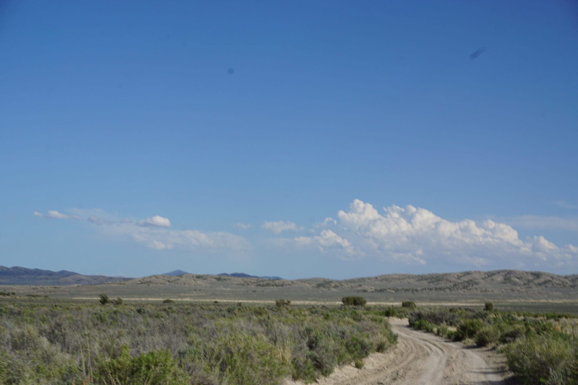 Treed 10.00 Acre Lot with County Maintained Dove Creek Road Running Through it ~ Come Enjoy Box Elder County! photo 14