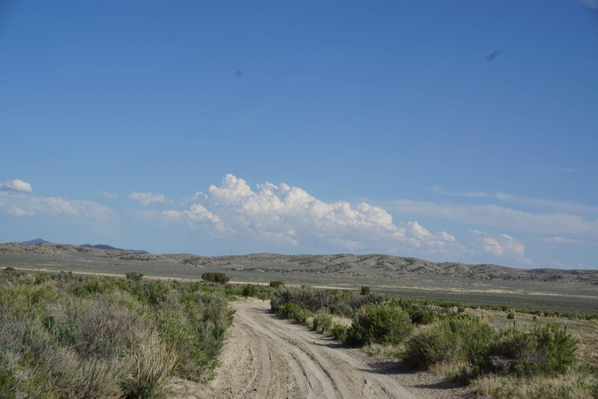 Treed 10.00 Acre Lot with County Maintained Dove Creek Road Running Through it ~ Come Enjoy Box Elder County! photo 13