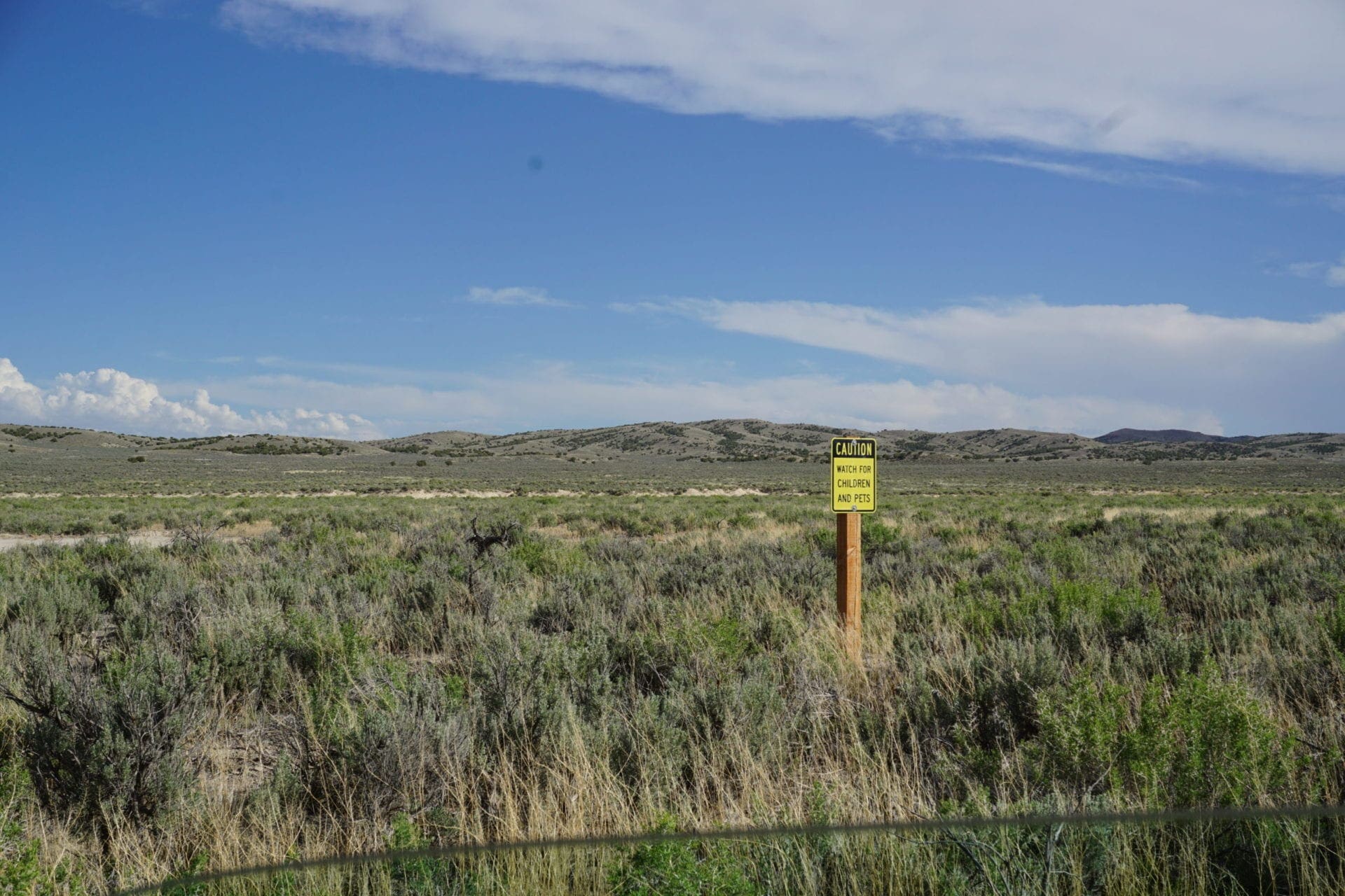 Treed 10.00 Acre Lot with County Maintained Dove Creek Road Running Through it ~ Come Enjoy Box Elder County! photo 12