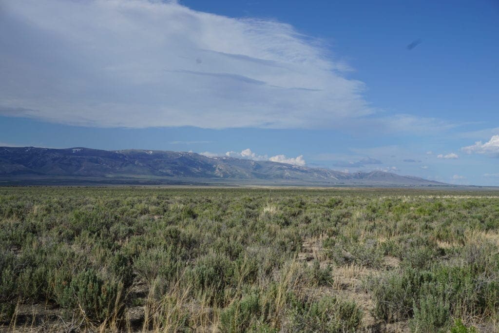 Large view of Treed 10.00 Acre Lot with County Maintained Dove Creek Road Running Through it ~ Come Enjoy Box Elder County! Photo 11