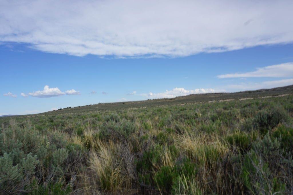 Large view of Treed 10.00 Acre Lot with County Maintained Dove Creek Road Running Through it ~ Come Enjoy Box Elder County! Photo 9