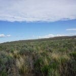 Thumbnail of Treed 10.00 Acre Lot with County Maintained Dove Creek Road Running Through it ~ Come Enjoy Box Elder County! Photo 9