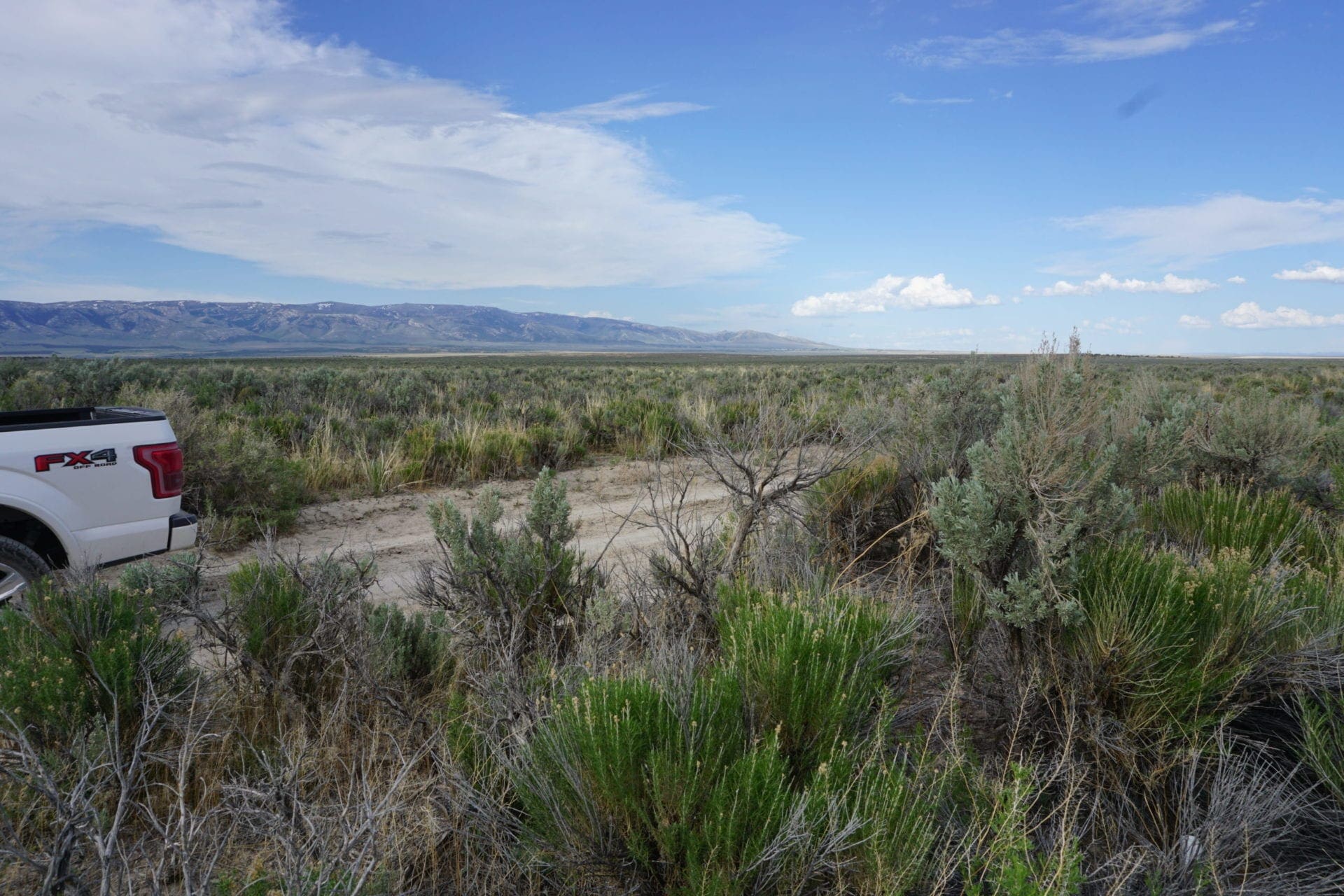 Treed 10.00 Acre Lot with County Maintained Dove Creek Road Running Through it ~ Come Enjoy Box Elder County! photo 7
