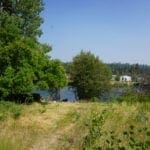 Thumbnail of Lot on Williamson River World Class Blue Ribbon Fishing Photo 6