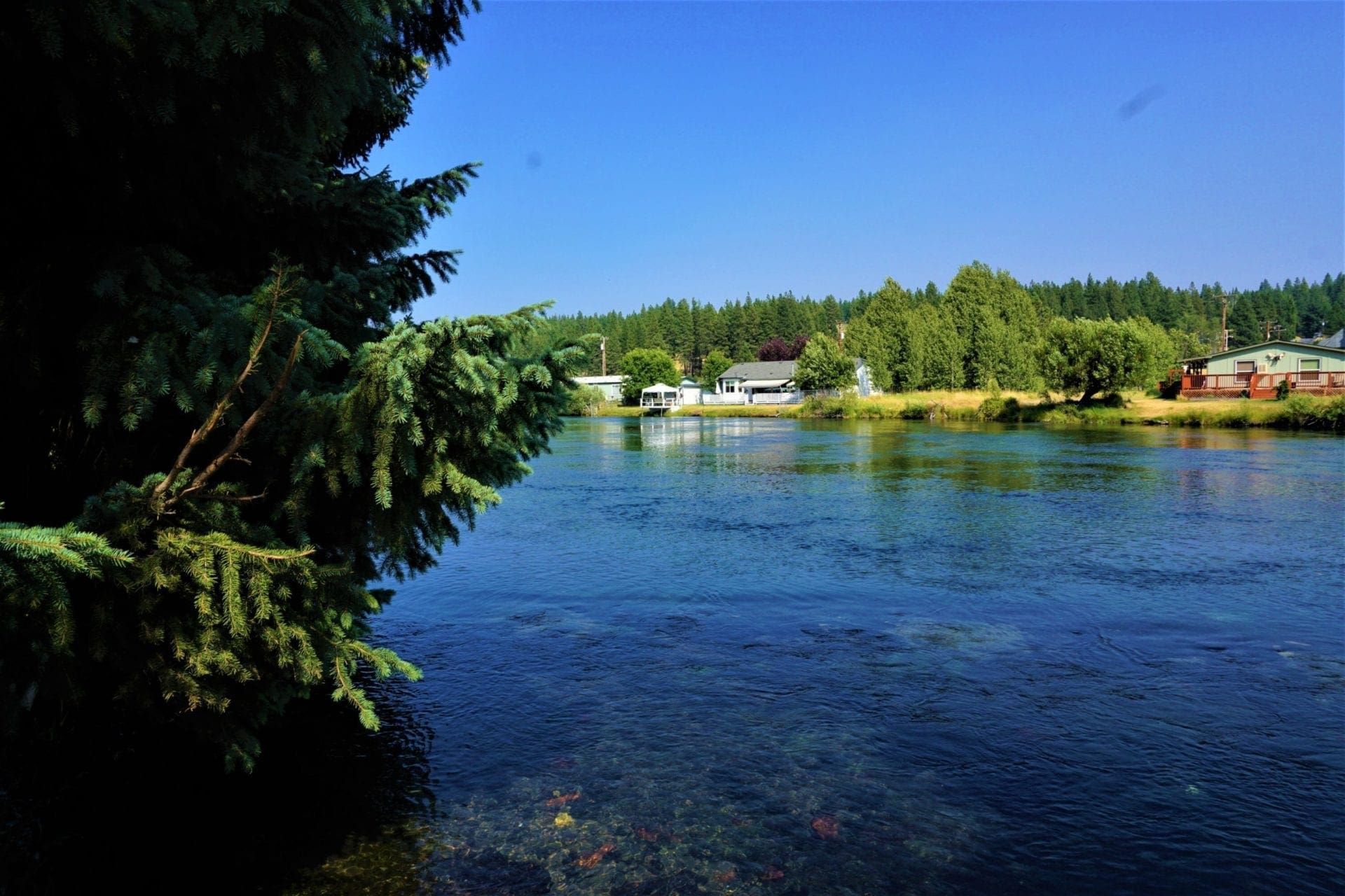 Lot on Williamson River World Class Blue Ribbon Fishing photo 2
