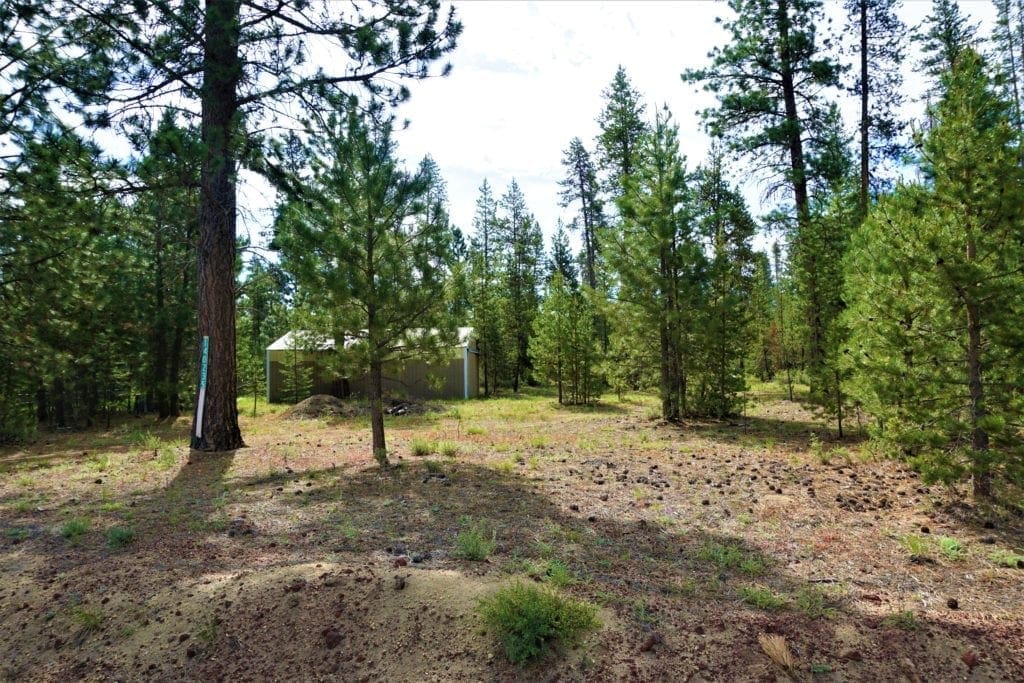 Large view of 1.00 Ac In Crescent Oregon! Treed Lot W/ Power & 20 X 30 Metal Building! Near BEND Photo 15