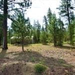 Thumbnail of 1.00 Ac In Crescent Oregon! Treed Lot W/ Power & 20 X 30 Metal Building! Near BEND Photo 15