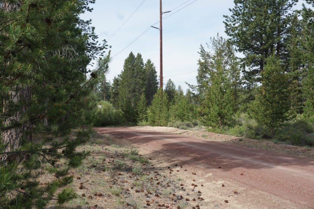 Large view of 1.00 Ac In Crescent Oregon! Treed Lot W/ Power & 20 X 30 Metal Building! Near BEND Photo 12