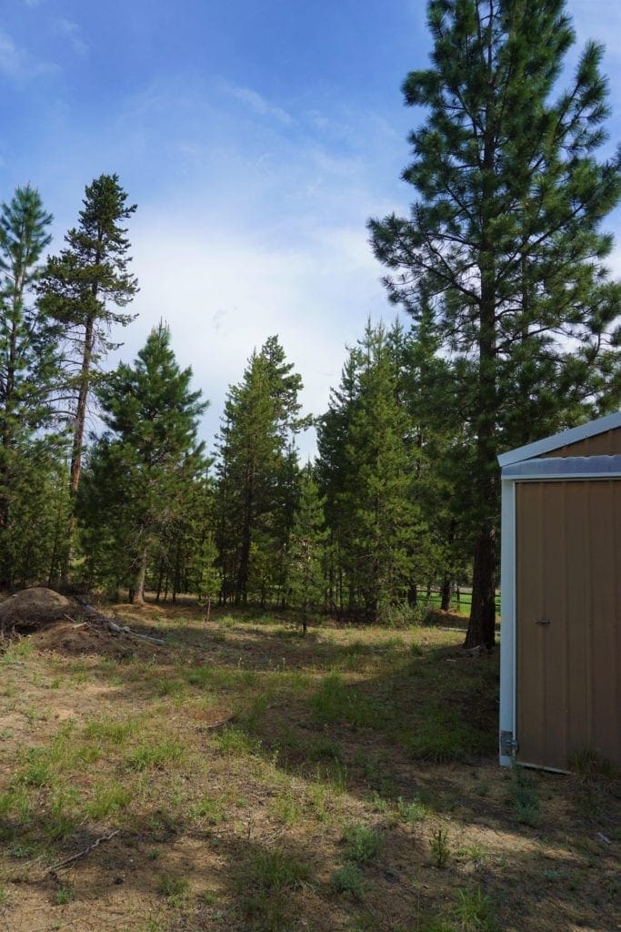 Large view of 1.00 Ac In Crescent Oregon! Treed Lot W/ Power & 20 X 30 Metal Building! Near BEND Photo 8